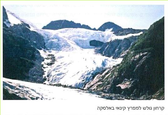 - קרחון גולש למפרץ קינאי באלסקה
